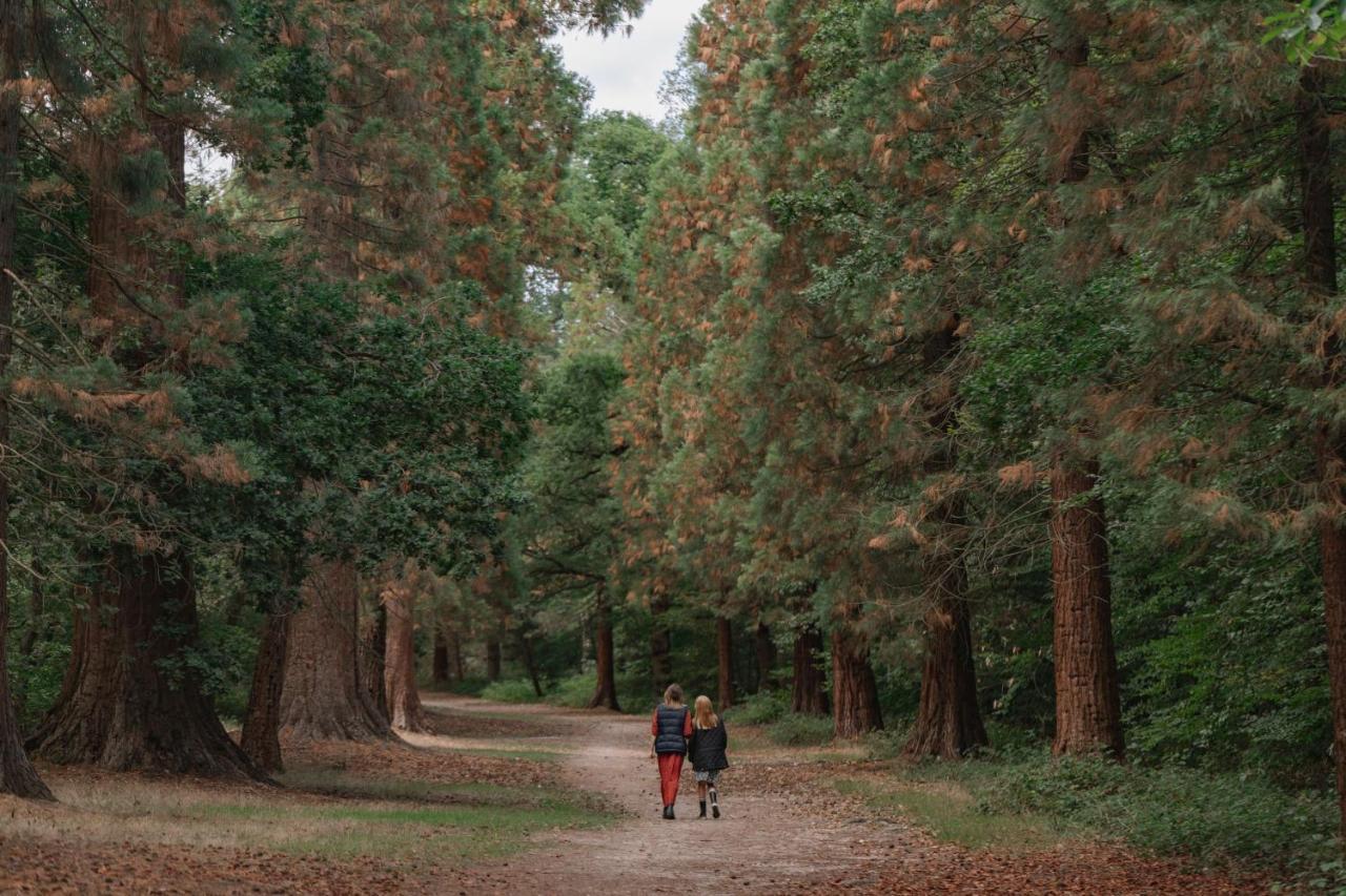 The Langley, A Luxury Collection Hotel, Buckinghamshire Iver Eksteriør billede