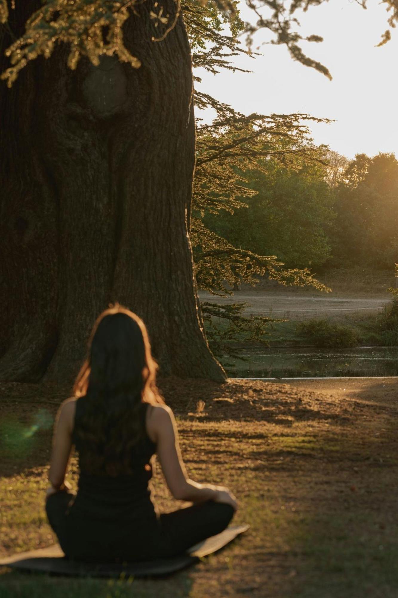 The Langley, A Luxury Collection Hotel, Buckinghamshire Iver Eksteriør billede